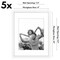 Americanflat Picture Frame Set with Mat - Set of 5 - Photo Frame Set of Five for Wall Display - Plexiglass Cover - Hanging Hardware